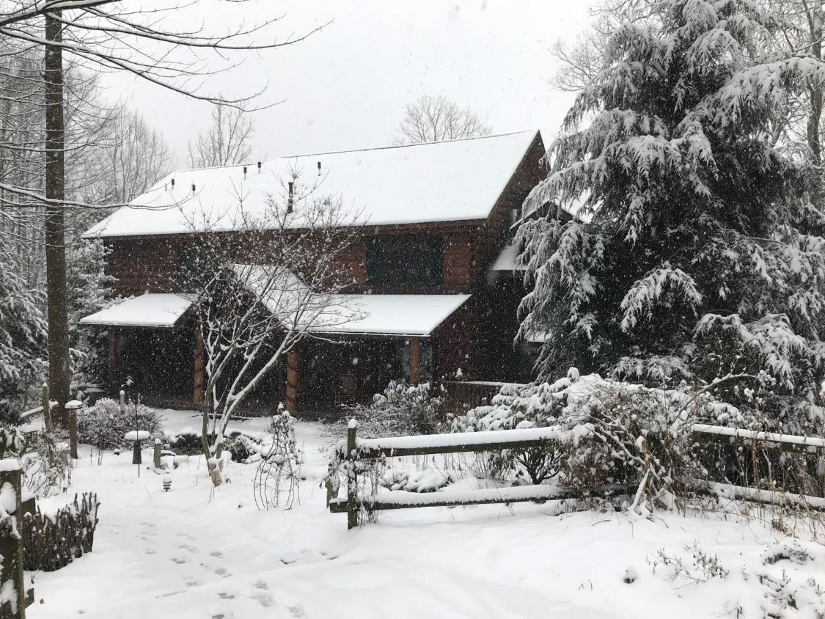Valle Crucis Lazy Bear Lodge المظهر الخارجي الصورة