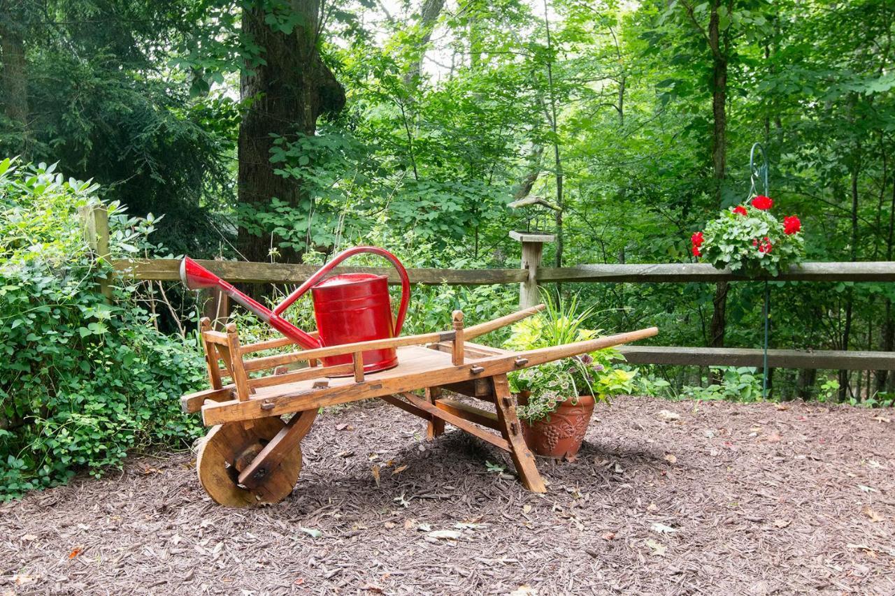 Valle Crucis Lazy Bear Lodge المظهر الخارجي الصورة